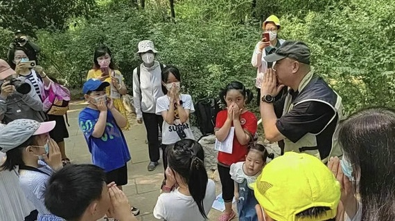 JPEG图像.jpeg